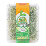 GERMINADO ALFALFA 200GR. SAN FRANCISCO