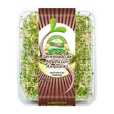 (NVO) GERMINADO ALFALFA AMARANTO 200GR. SAN FRANCISCO