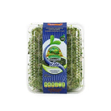 (NVO) GERMINADO ALFALFA KALE 200GR. SAN FRANCISCO