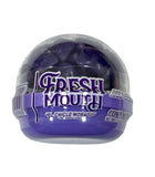 CHICLE FRESH MOUTH 46G