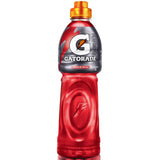 GATORADE FRUIT PUNCH 1LT.