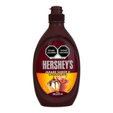 SYRUP CHOCOLATE 589GR.HRYS.