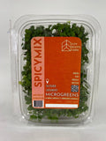 (CNG)MICROGREENS SPICYMIX 50GR.CITY ROOTS